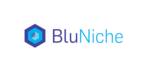 BluNiche-Logo